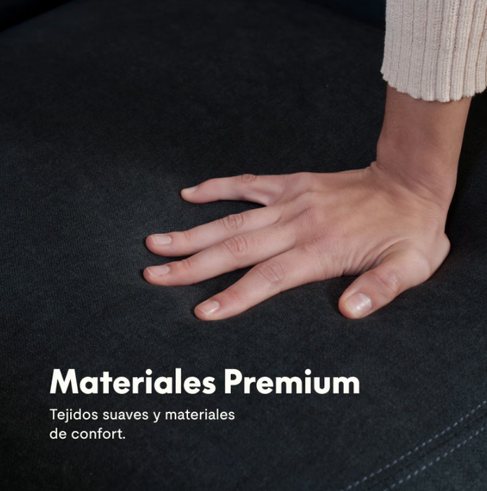 Flexispot Sillón Reclinable Eléctrico X1SG