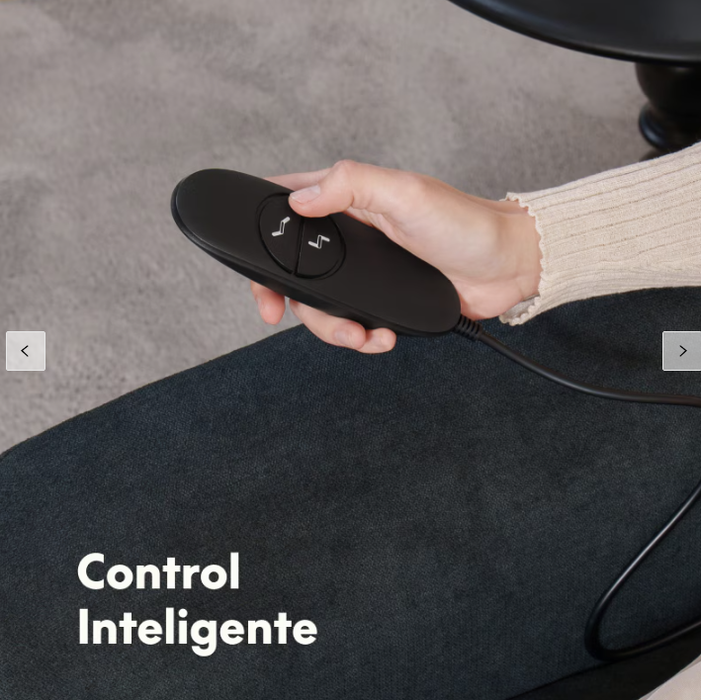 Flexispot Sillón Reclinable Eléctrico X1SG