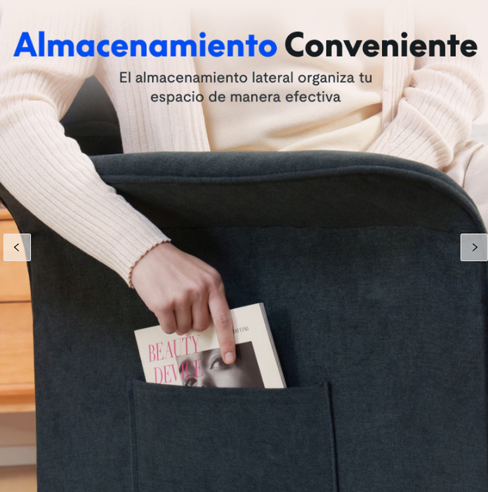 Flexispot Sillón Reclinable Eléctrico X1SG