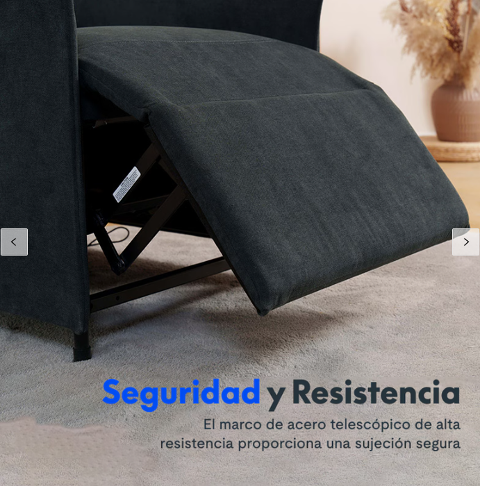 Flexispot Sillón Reclinable Eléctrico X1SG